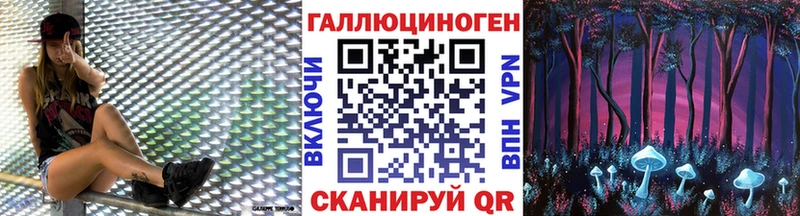 Псилоцибиновые грибы Psilocybe  Киржач 
